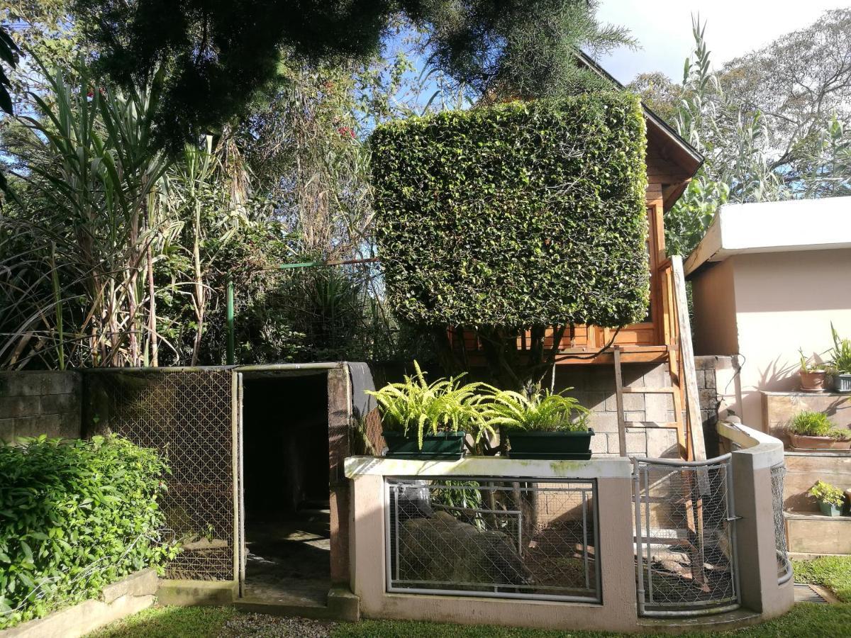 Casa Familiar La Arboleda Apartment Guatemala City Ngoại thất bức ảnh
